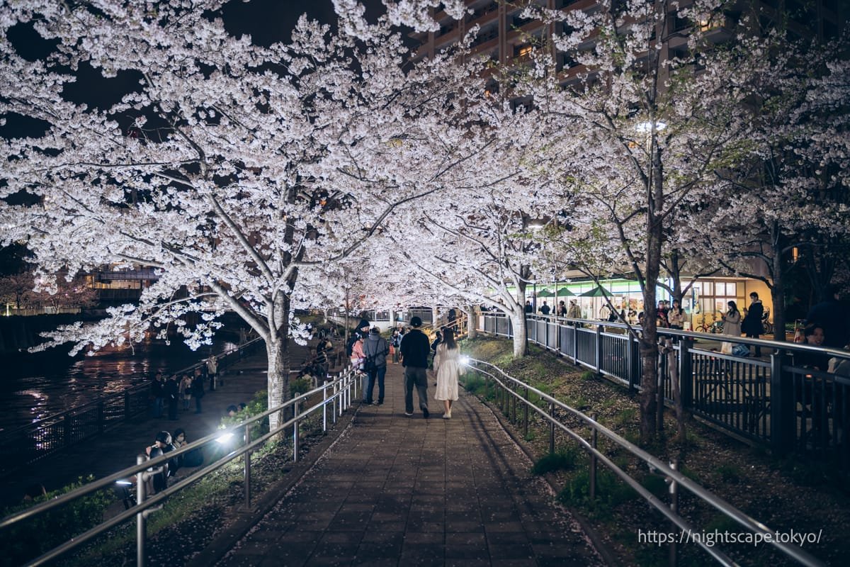 🏞️ 고탄다 만남의 물가 광장(고탄다 후레아이 미즈베 히로바)